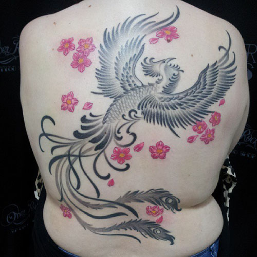 Hűvös egyszerű sárkány tetoválás a hátán