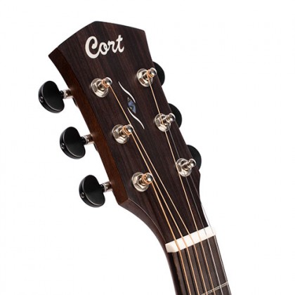 Cort Guitarer
