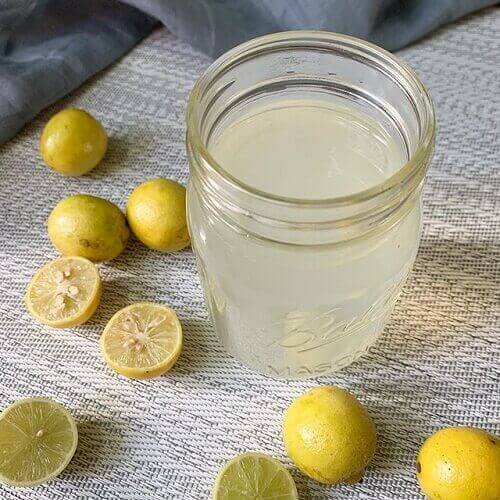 citronsaft graviditet