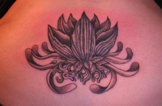 Sort Lotus blomst tatovering