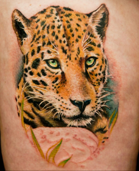 Miami tintás tigris arc tetoválás