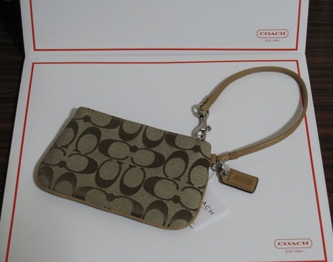 Pouch Coach táska