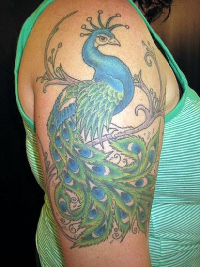 Påfugl blå fjer tatovering til pige