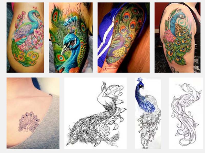 påfugl tatovering designs