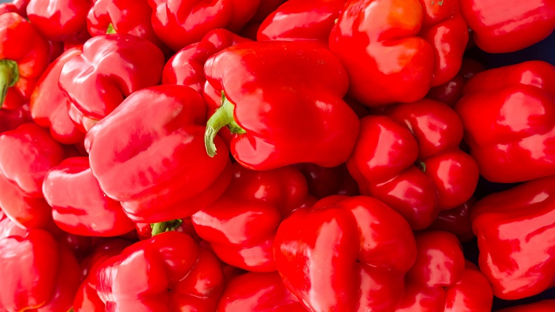 sundhedsmæssige fordele ved rød peberfrugt