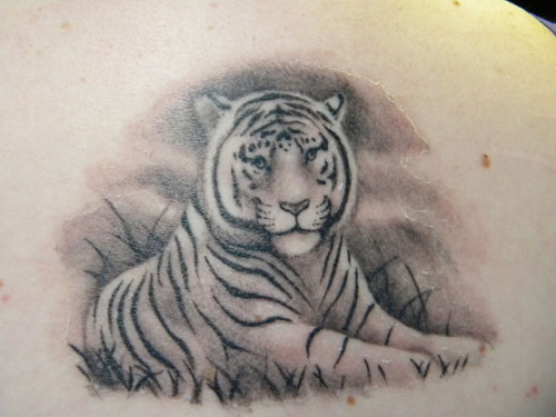 Fehér tigris tetoválás minták