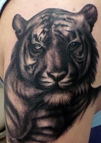 Black Tiger Tattoo Designs