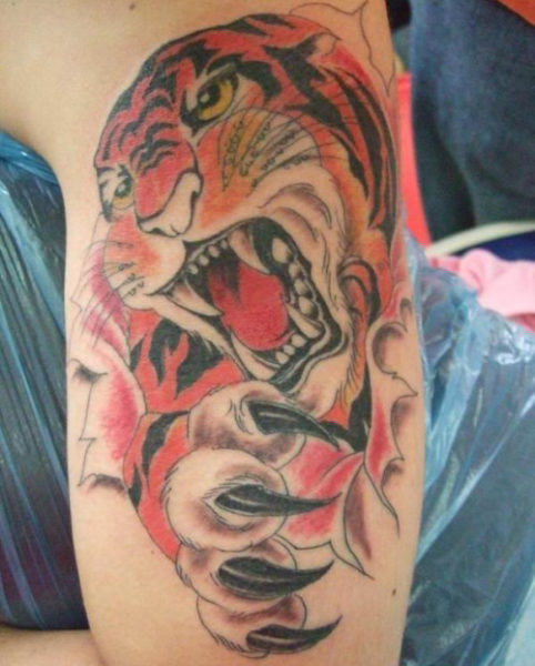 Knurrende tatoveringsdesigner