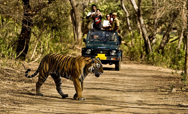 jim-corbett-nemzeti-park_uttarakhand-turista-helyek