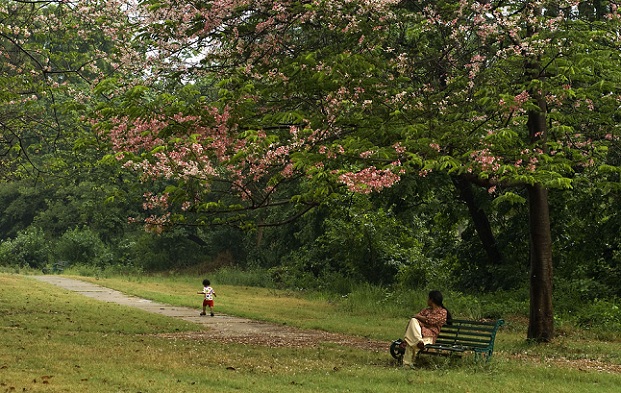 fritid-valley_chandigarh-turist-steder
