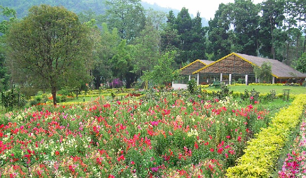 saramsa-garden_sikkim-turist-steder