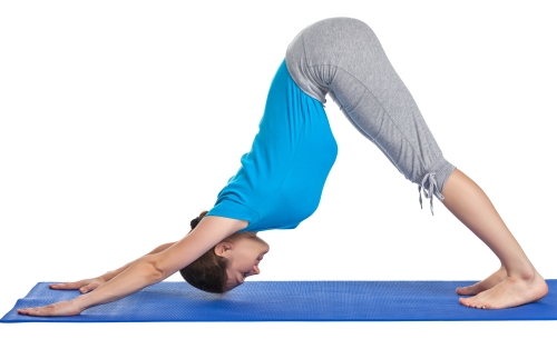 Adho Mukha Svanasana/A lefelé mutató kutya arca