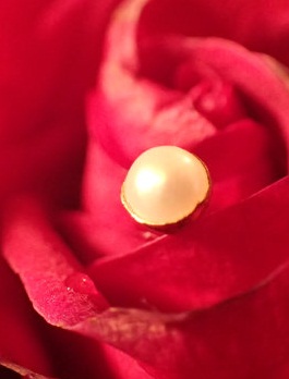 Small Pearl Design Gold Nose Pin til kvinder