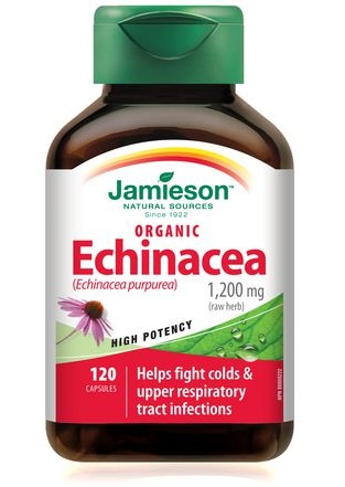 Echinacea