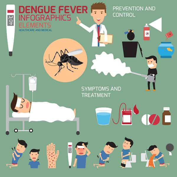 Dengue -láz infografika