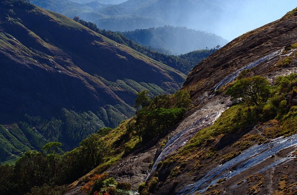 rajamala_munnar-turist-steder