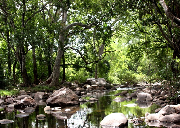 chinnar-wildlife-sanctuary_munnar-turist-steder