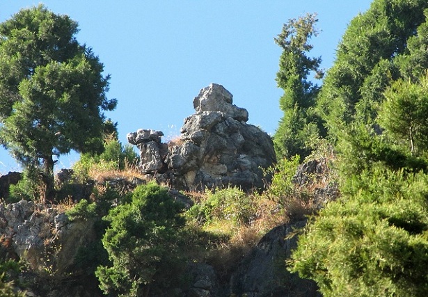 kameler-tilbage_mussoorie-turist-steder