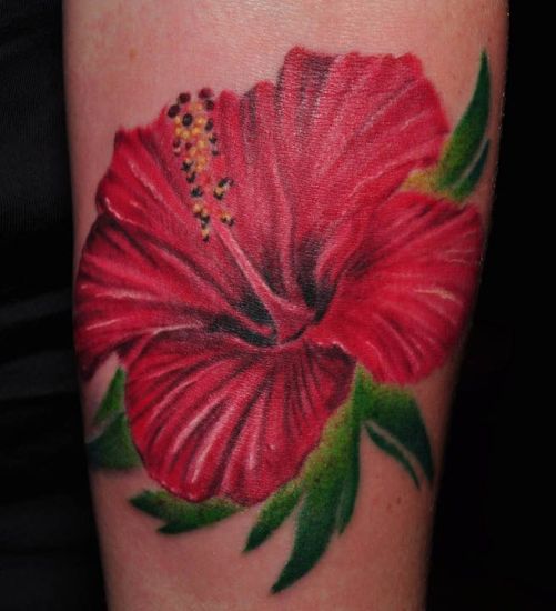Rózsaszín Hibiscus Shade Tattoo
