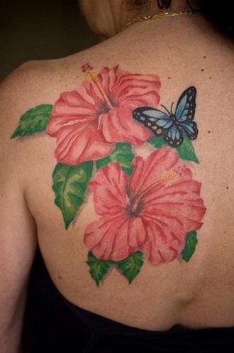 Hibiszkusz pillangóval