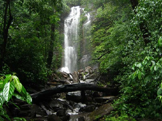 Apsara Konda Falls