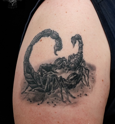 A harci skorpió tetoválás ujjakon