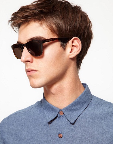 Brown Polarized Wayfarers