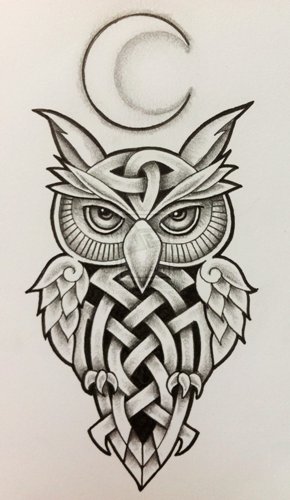 Keltisk ugle tatoveringsdesign