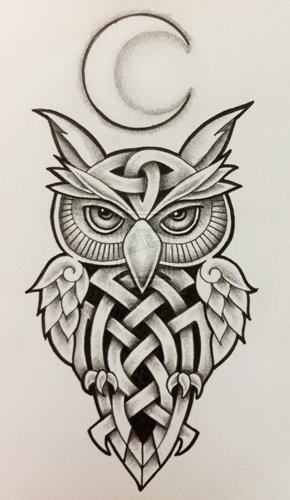 Keltisk ugle tatoveringsdesign