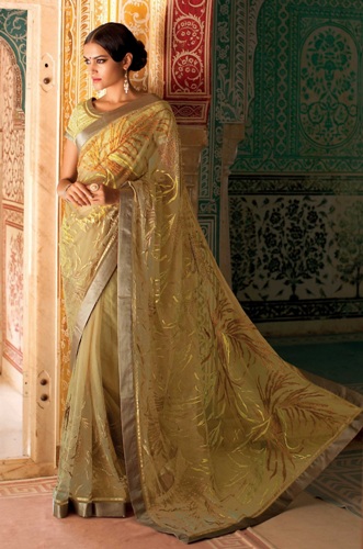 Laxmipati Net Designer Saree 12