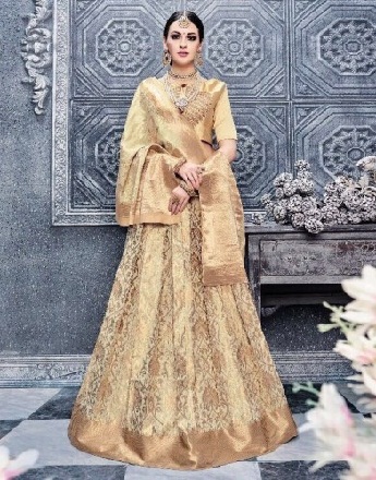 Banarasi Selyem Lehenga Choli ruha