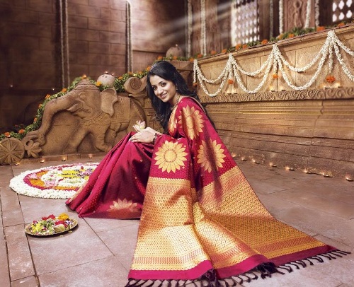 A Royal Nalli Saree