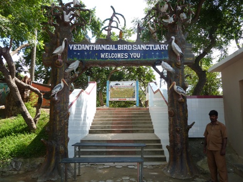 Vedanthangal Bird Sanctuary