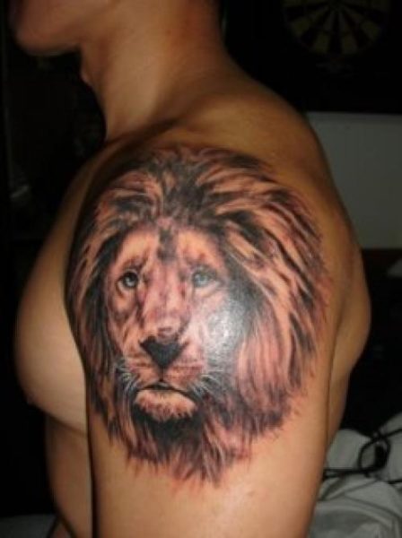 Fél ujjú oroszlánfej tetoválás tervezés férfiaknak