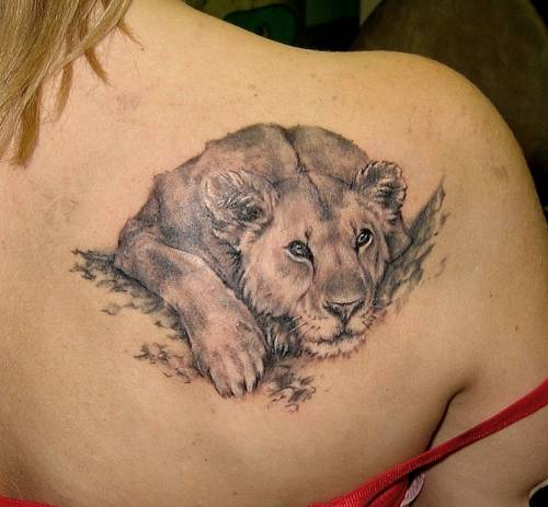Lioness Shoulder Tattoo for Girls