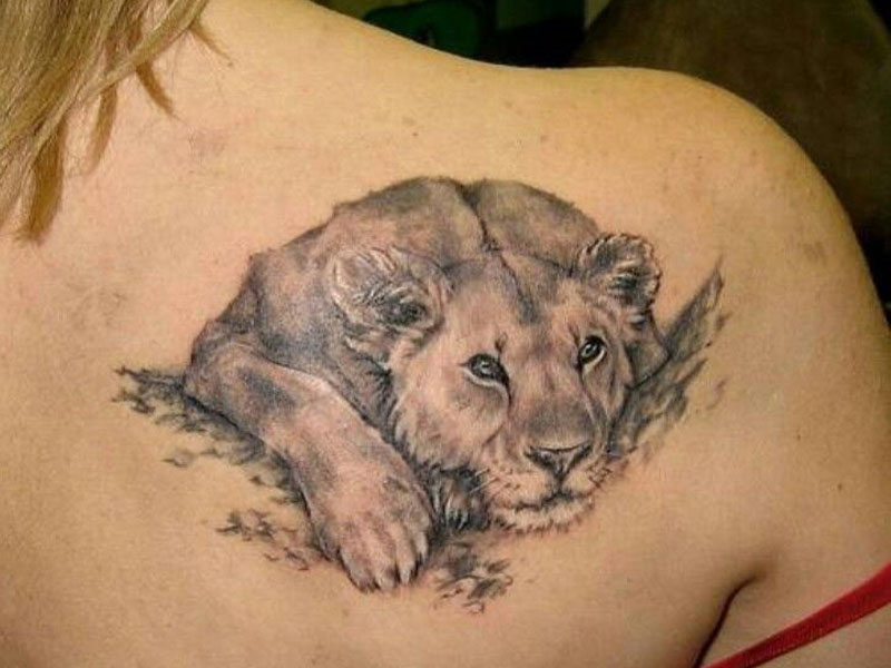 Lion tatoveringsdesign