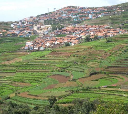 bryllupsrejse steder i kodaikanal