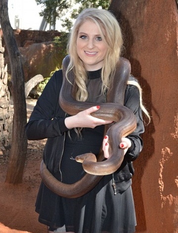 Meghan Trainor smink nélkül 2