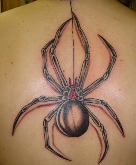 Tribal Spider Tattoo Design