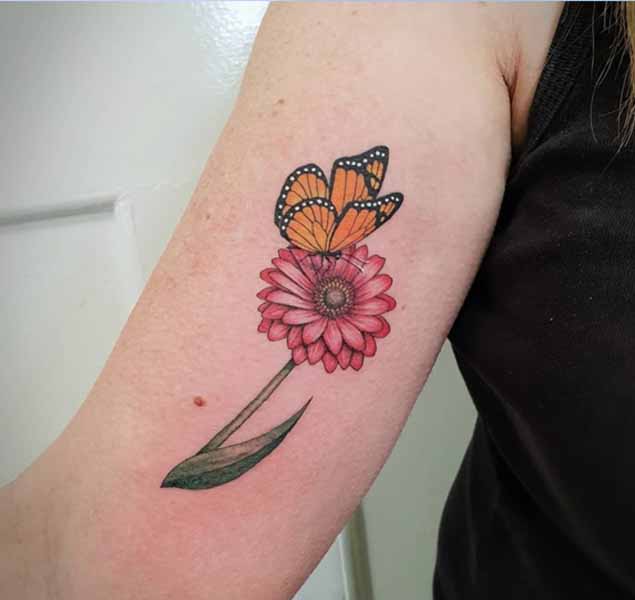 Gerbera virág tetoválás tervezés pillangóval