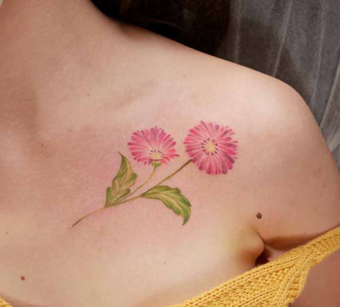 Kis Gerbera százszorszép tetoválás a mellkason