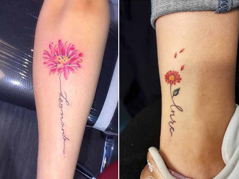 Gerbera Tattoo Designs