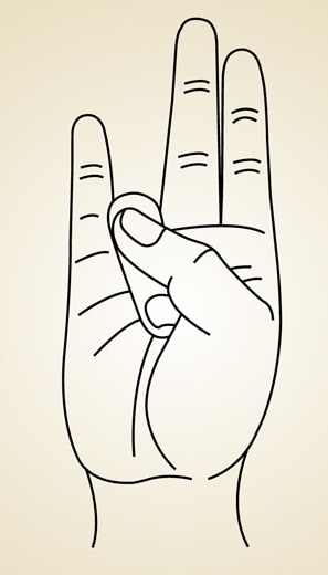 A Surya Mudra