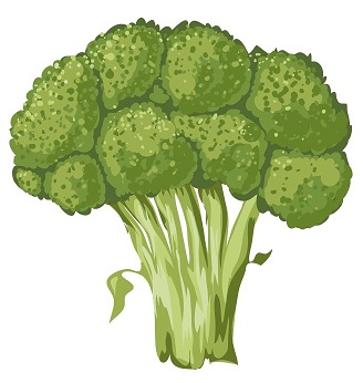 Broccoli juice