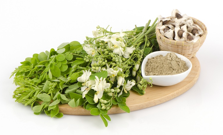 moringa pulver bruger