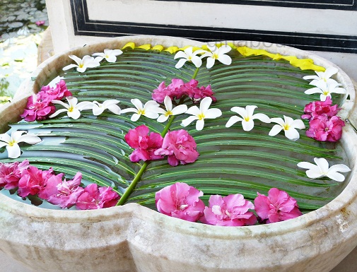 Pálmalevél virágokkal Rangoli Design