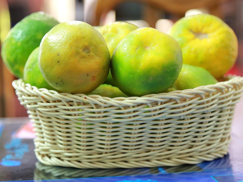 A Mosambi gyümölcs előnyei (édes lime) a bőr, a haj és a bőr számára Egészség