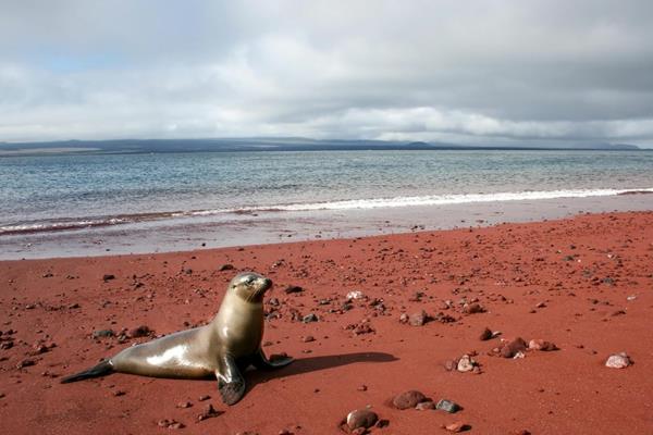 upeat rannat ympäri maailmaa Galapagos