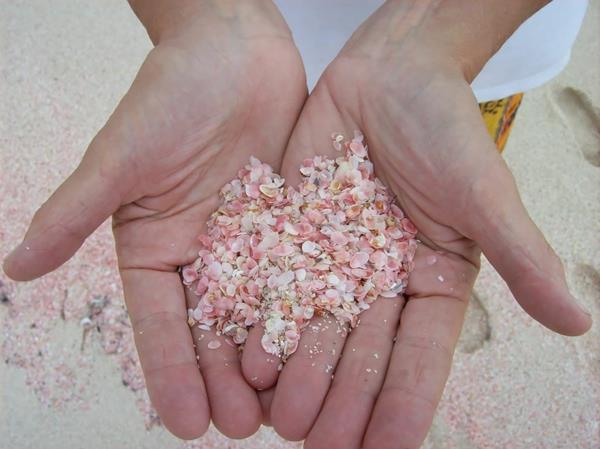 maailman kauneimmat rannat bahama vaaleanpunainen hiekka
