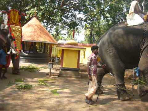 Edava Palakkavu Bhagavathi -templet i Edava